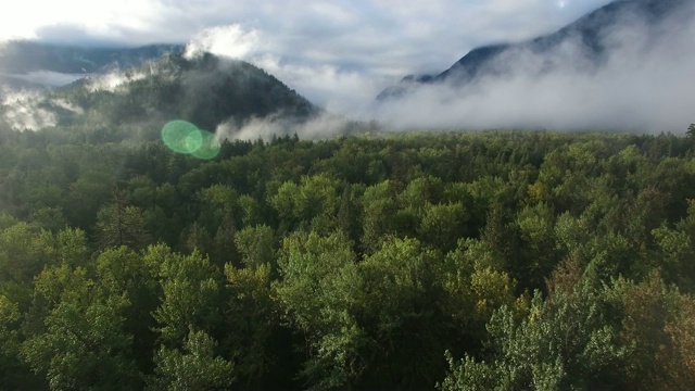航拍:绿色森林和浓雾覆盖的山脉背景视频素材
