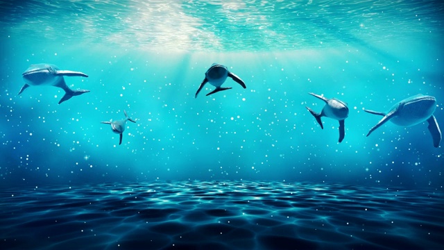 鲸鱼在接近水面的蓝色水域旅行，3d渲染。视频下载