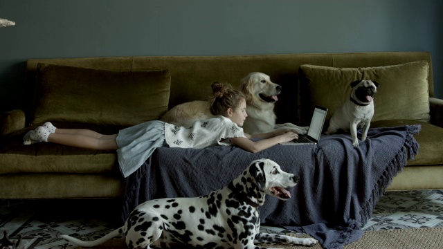 女孩躺在沙发上用笔记本电脑，旁边是狗视频素材