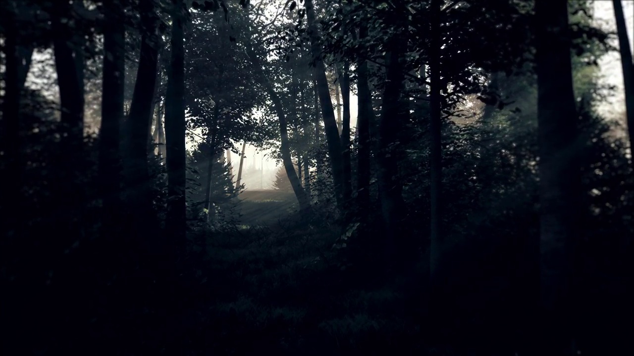 幽灵般的黑暗森林在夜晚的月光视频下载