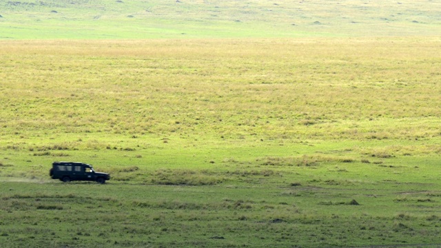 风景与狩猎车，马赛马拉国家保护区，肯尼亚，非洲视频下载