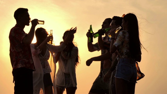 一群朋友在海滩上玩和喝酒的剪影。缓慢的运动。假期的概念。视频下载