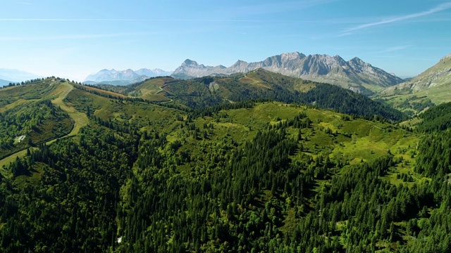 鸟瞰图的绿地与松树和一条小路在阿尔卑斯山脉的底部-法国。视频购买