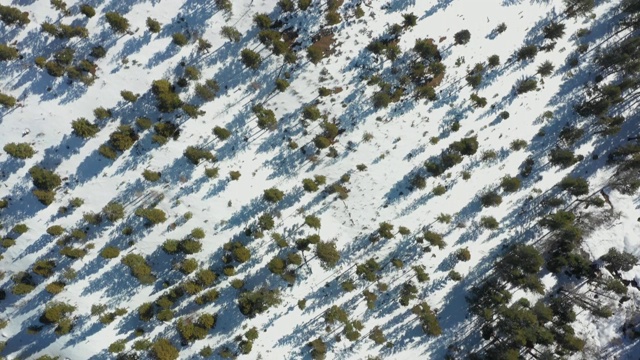 加州太浩湖旁的埃尔多拉多国家森林的冬季雪航拍视频片段视频下载