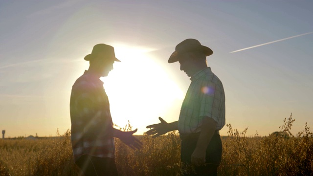 农民和工人在农业领域的帽子握手背景日落视频下载