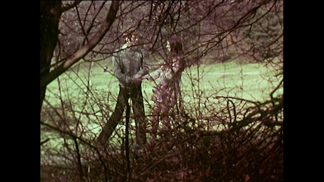 1960年代，一对年轻情侣在树林里接吻散步视频下载