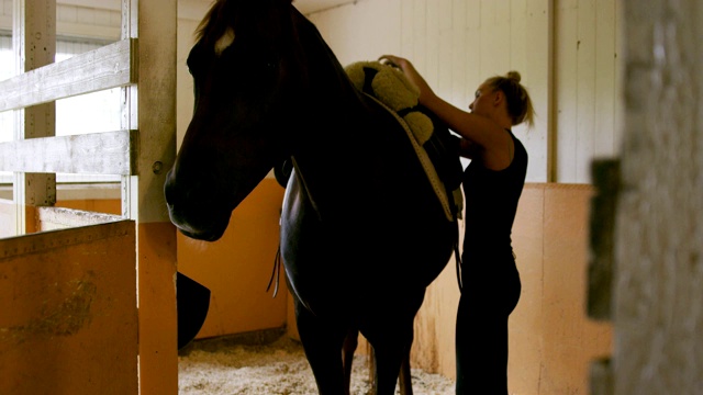 年轻女子在马厩里为骑马准备鞍具视频素材