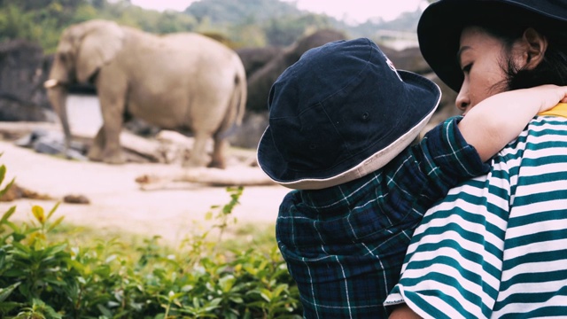亚洲男婴和母亲在动物园旅行视频下载