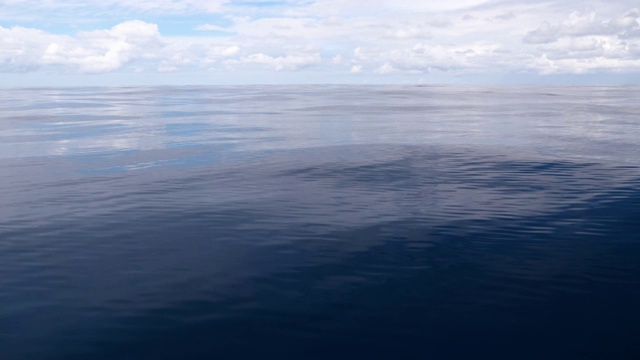 平静的海洋背景视频下载