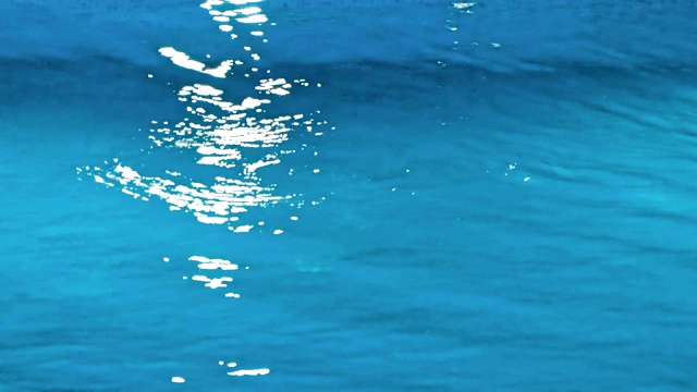 豪华热带度假村的游泳池视频下载
