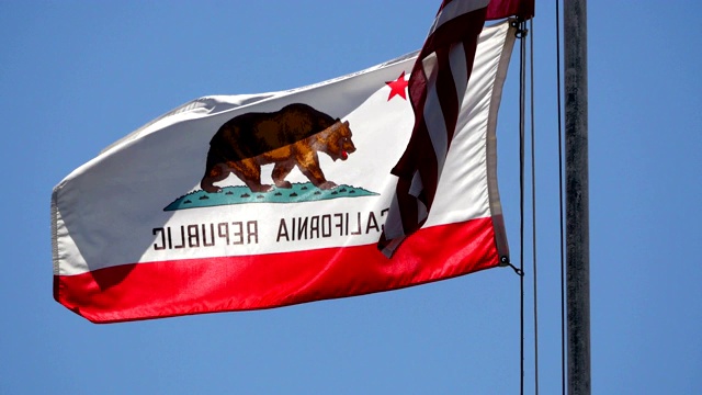 美国国旗和加州国旗在风中飘扬视频素材