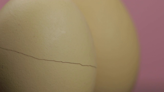 孵化鸡蛋。蛋壳在粉红色的背景上裂开。希望出来的概念视频下载