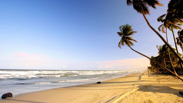 田园诗般的热带加勒比岛屿海滩椰子树，沙滩和海浪在日落时间视频素材