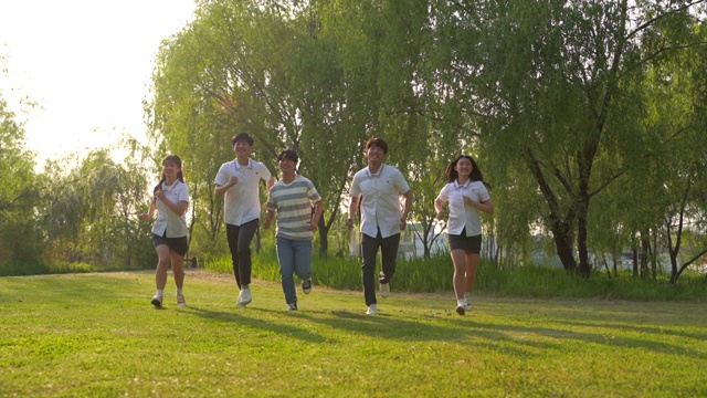 在公园草地上奔跑的青少年视频素材