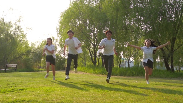 在公园草地上跑步的青少年视频素材