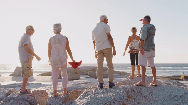 在夏季团体度假时站在岩石上眺望大海的资深朋友的后视图视频素材