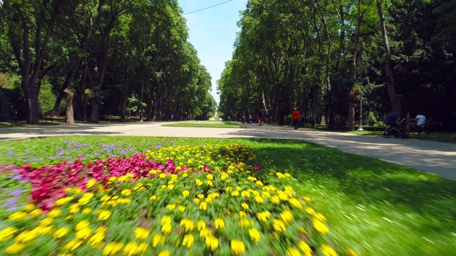瓦尔纳保加利亚，鸟瞰图的海洋花园公园与五颜六色的鲜花和奔跑的人视频下载