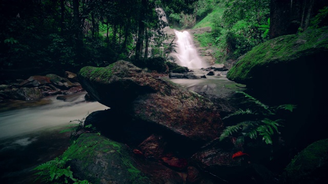 雨林瀑布视频素材