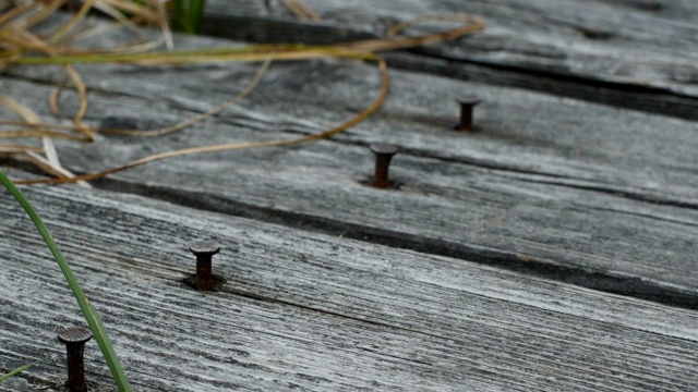 旧木桥上钉着生锈的钉子视频素材
