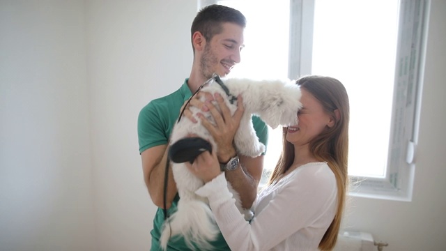 幸福的夫妇和他们的狗搬进新家视频素材