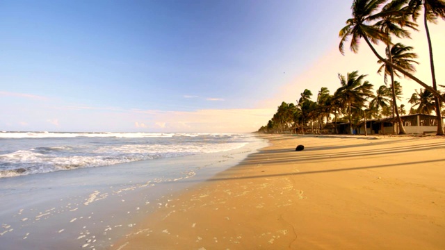 田园诗般的热带加勒比岛屿海滩椰子树，沙滩和海浪在日落时间视频素材