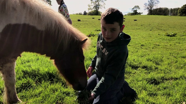 小男孩在英国乡村抚摸他的宠物小马视频下载