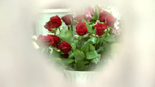 一束红玫瑰透心，一束最爱视频下载