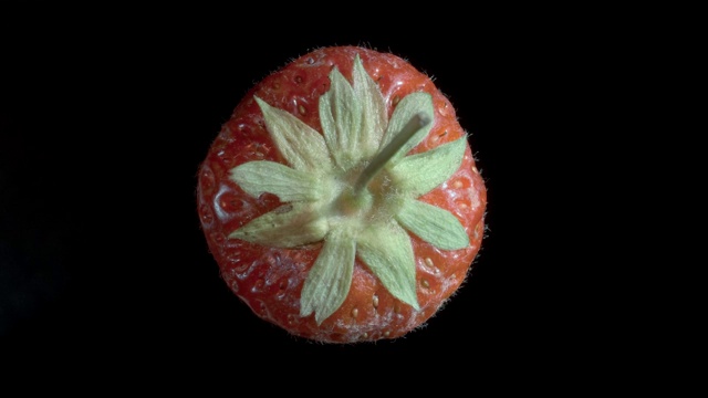 悬浮红草莓。旋转成熟的草莓在空中飞行孤立在黑色的背景。特写镜头，相机360度旋转。视频下载