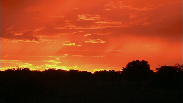 奥卡万戈三角洲的日落风景视频素材