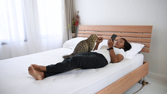 亚洲女人使用智能手机玩虎斑猫在现代卧室。视频下载