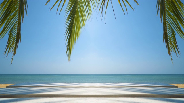 异国情调的海滩和棕榈树，在阳光明媚的一天，蓝天。视频素材