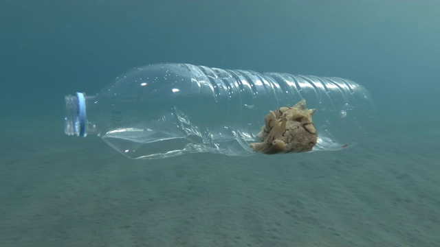 塑料污染，一只美丽的裸鳃海兔在塑料瓶里旅行。斑点海兔(指海兔)地中海，欧洲。视频下载