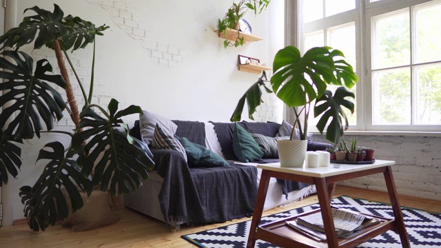舒适的沙发在斯堪的纳维亚室内，hygge概念视频素材
