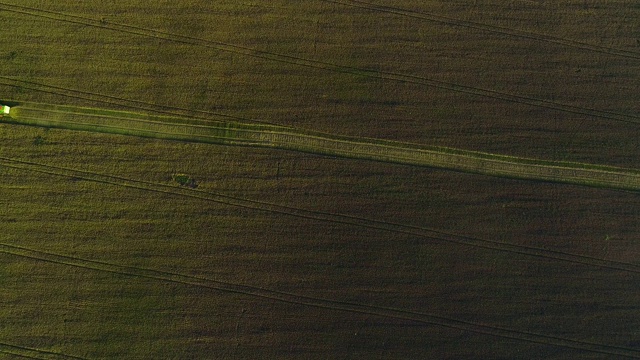 一个农民在广阔的田野上收获的高空拍摄。4 k。视频下载