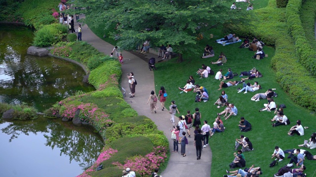 日本人周末在公园的草地上放松视频素材