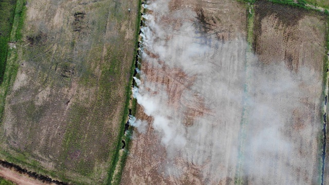 从俯视图视频中可以看到稻田中间的干草冒烟，视频素材