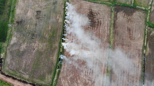 从俯视图视频中可以看到稻田中间的干草冒烟，视频素材