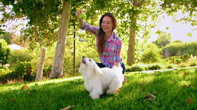 年轻女子与她的白狗在公园玩网球视频下载