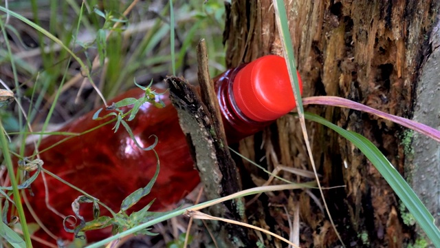 树旁边的红色塑料瓶视频下载