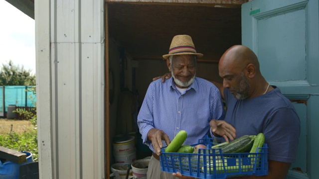 父亲和儿子展示新鲜的农产品视频素材