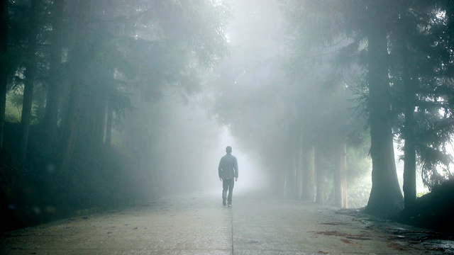 一个人走在雾蒙蒙的路上视频下载