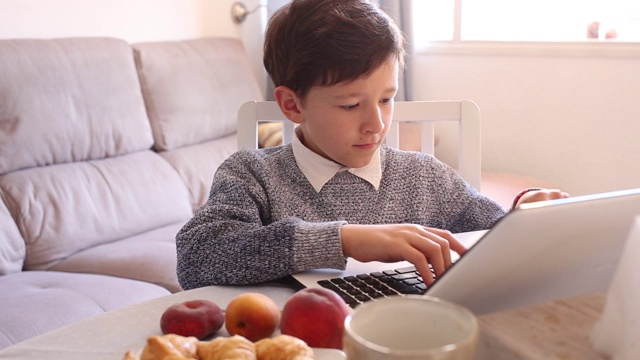 男孩坐在家里的桌子上用笔记本电脑视频素材