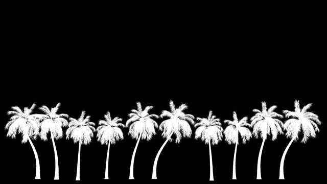 棕榈树动画- 4个场景视频下载
