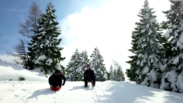 在一个晴朗的冬日，滑雪橇下山视频下载