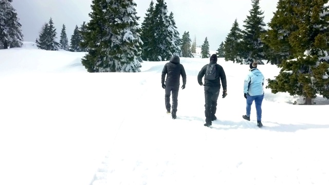 走在白雪覆盖的乡间小路上视频下载