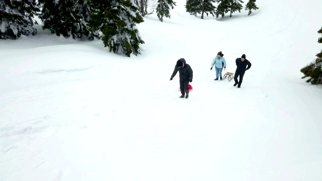 向上拉的雪橇视频下载