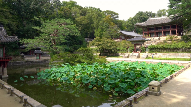 韩国首尔昌德宫的Huwon秘密花园，可以看到Buyongji池塘和Juhamnu亭视频下载