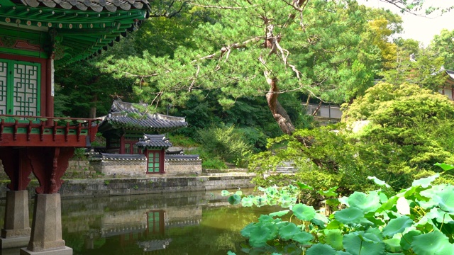 韩国首尔昌德宫的Huwon秘密花园景观，可以看到北池和北亭视频下载