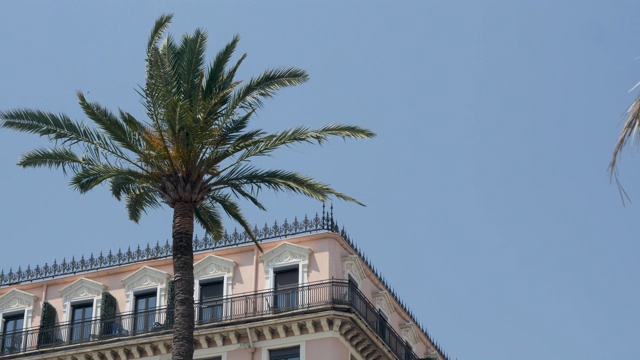 棕榈树在风中吹拂的4k慢动作剪辑与美丽的法国建筑在尼斯，法国的背景。视频下载