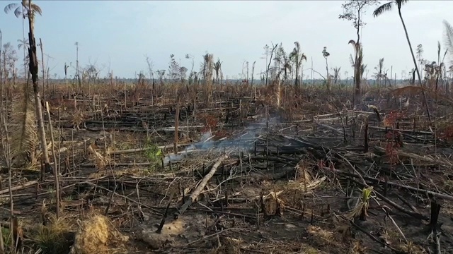 亚马逊雨林火灾的鸟瞰图视频下载
